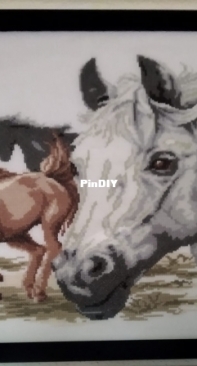 Free running horses