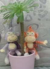monkey