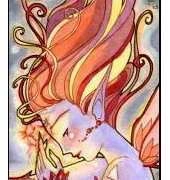 HAED HAESBQS 455 QS Fire ACEO by Sarah Butcher