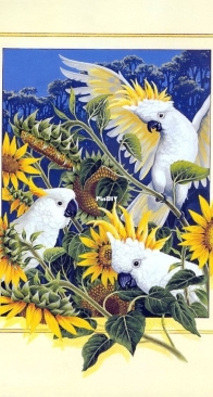 Sulphuer-Credted Cockatoo by Interesting Boutique