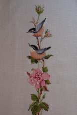 Heritage - Sonatina rose