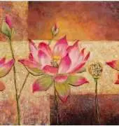 HAED HAELYF 1602 Lotus Flowers, Lynn Fogel