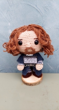 harry potter saga ; sirius black