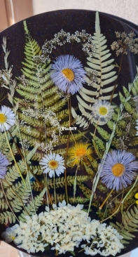 Herbarium and epoxy resin