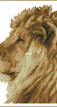 75.070 Vervaco Lion