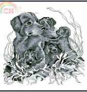 Oehlenschlager OOE 87945 Dogs