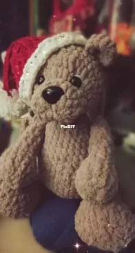 MY BEAR 2025