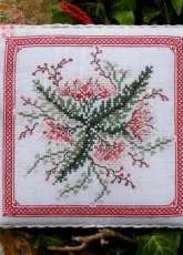Renato Parolin - Achillea