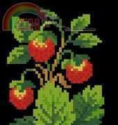 Berlin Woolwork - Strawberry