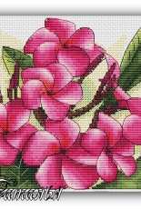 Plumeria by Natalia Sakulina