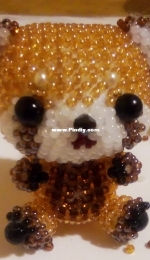 Racoon