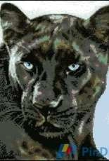 Kustom Krafts JW-001 Black Leopard