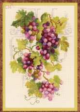 Riolis 1455 Grapes