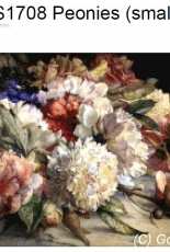 Golden Kite S1708 Peonies-2 (small)