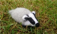 The Woolly Scientist - Aoife Hardesty - Broc the Woolly Badger - Free