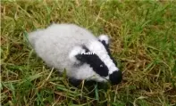 The Woolly Scientist - Aoife Hardesty - Broc the Woolly Badger - Free