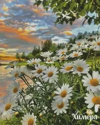 Chimera- Sunset in The Grass 4