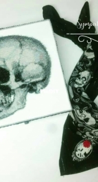 Skull box :)