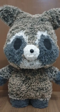 Rocket the Racoon