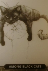 RTO M666 Among Black Cats WIP