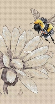 Bumblebee and Marigold by Svetlana Shakhnovich