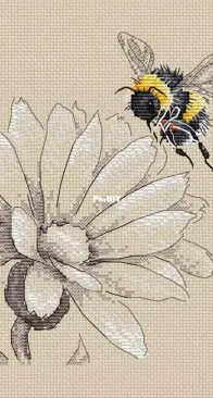 Bumblebee and Marigold by Svetlana Shakhnovich