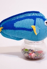 Blue Tang