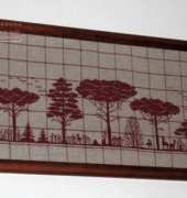 Pineta /Renato Parolin