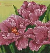 Goblenset 868 - Fringed Tulips