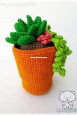 FLORA