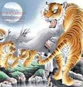 Tigers