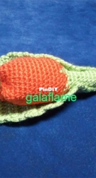 Rattle tulip