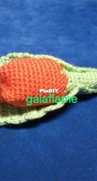 Rattle tulip