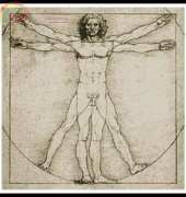 Artecy Cross Stitch - Vitruvian Man