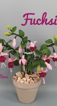 Pippa Patterns - Connie Rockliff - Fuchsia