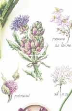 V. Enginger - Mon Jardin Potager 2018 - Mango - Coeur d Artichaut PCS