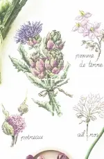 V. Enginger - Mon Jardin Potager 2018 - Mango - Coeur d Artichaut PCS