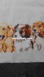 Puppies
