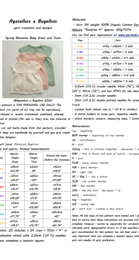 Spring Blossom Baby Dress & Tunic - Agasalhos e Bugalhos - English Spanish Portugese