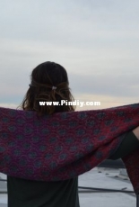 Study Break Shawl by Emily Connell - Free