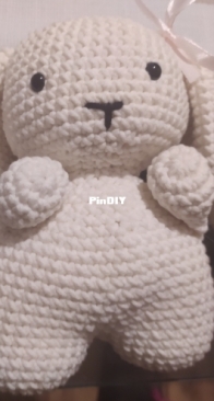My first bunny