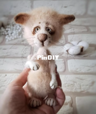 Simpatico Gufo - Elena Plaxina - Funny cat