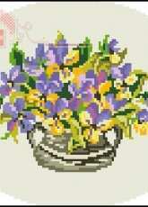 Wiehler 3527-5 Violets xsd + pcs