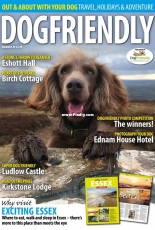 Dog Friendly - SeptemberOctober 2018