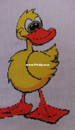 Nice duck..