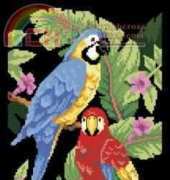Dimensions 3722 - Tropical Birds