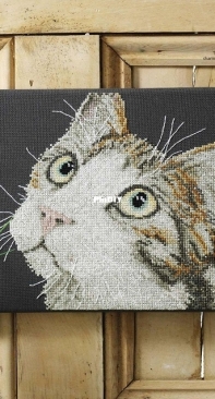 Bright  Eyes - Cat Portrait by Caroline Lord from Cross Stitch Gold 116