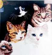 Janlynn #13-249 - Cats Eyes
