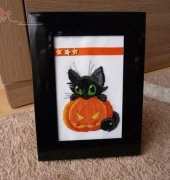 Black cat