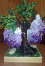 Wisteria